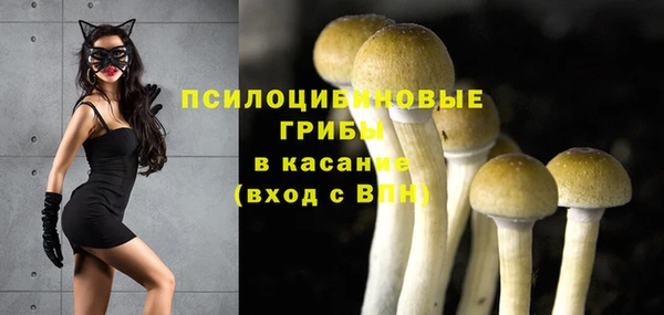 ECSTASY Михайлов