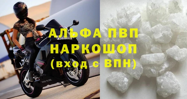 ECSTASY Михайлов