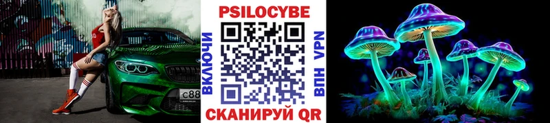 Псилоцибиновые грибы Cubensis Новокузнецк