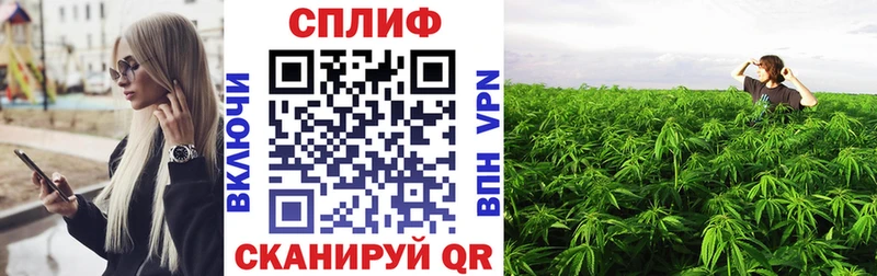 Канабис Amnesia Новокузнецк